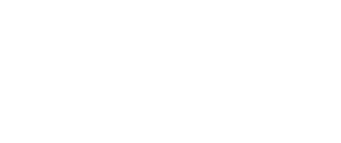 Delfin LTD